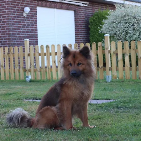 Дом отдыха Robby *